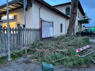 Potature abbandonate a Torre del Lago, la protesta della Lega