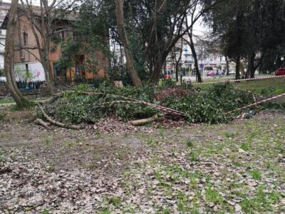 Pineta di Ponente, sopralluogo con il Comune per il piano di manutenzione straordinaria delle alberature