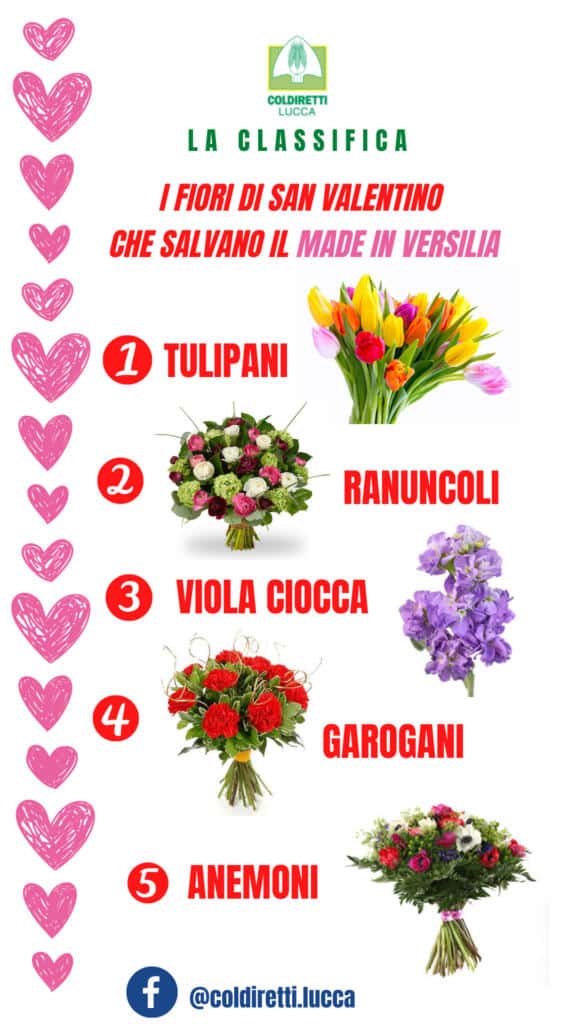 Classifica fiori San Valentino