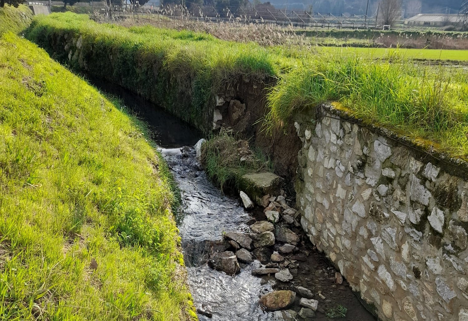Fosso Fontana