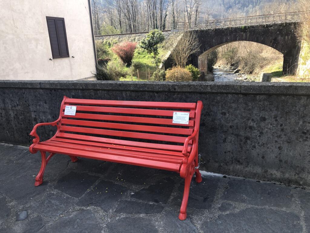 IMG 2536