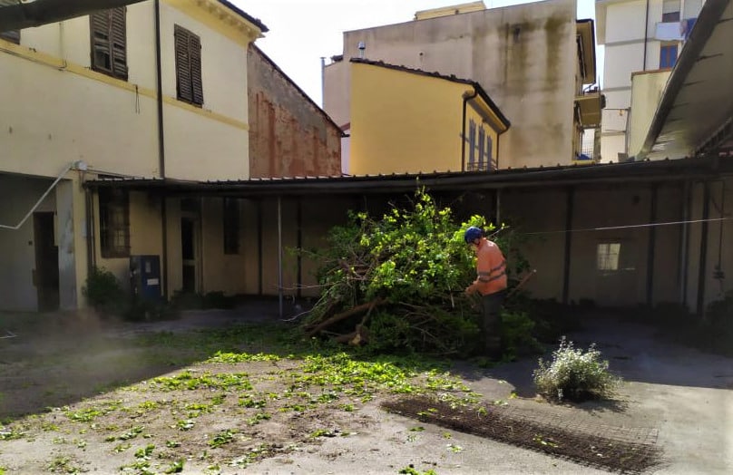Ex Caserma Cc viareggio pulizia cortile 2