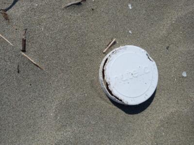 In tre anni raccolte 150 quintali di plastica, esercito Fare Verde in azione sulla spiaggia di Marina di Pietrasanta