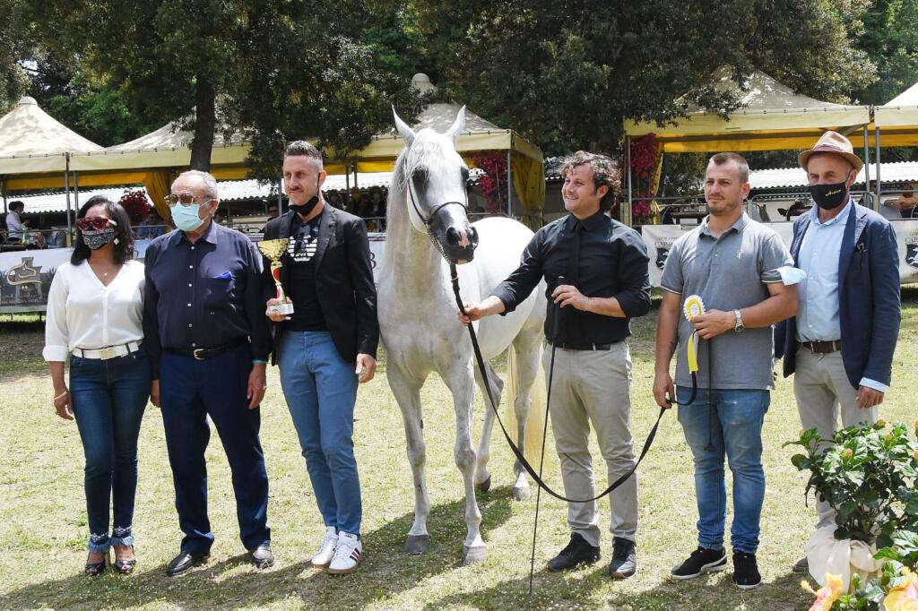 Arte del Cavallo 2021 foto Emma Leonardi Arte del Cavallo 20213eb3ec72 cf89 473d be15 ddfbb1fc6e62