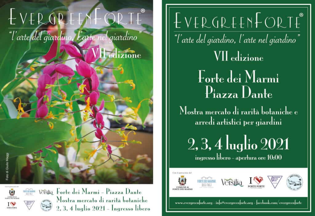 Cartolina EvergreenForte 2021