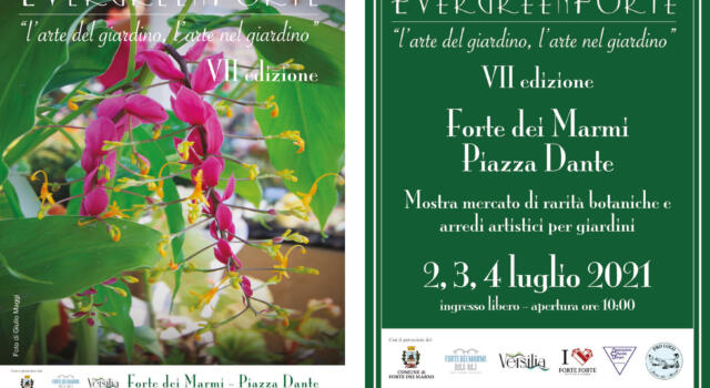 Torna con la settima edizione EvergreenForte dal 2 al 4 luglio, tante piante da collezione in mostra
