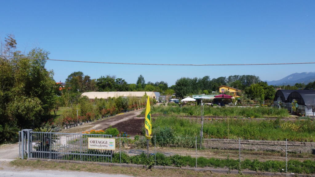 Foto azienda Dinamica Mediterranea