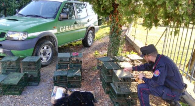 Caccia di frodo in media Valle del Serchio, denunciato bracconiere