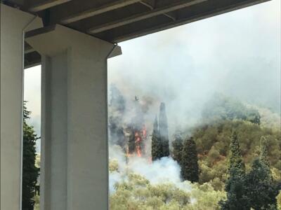 Incendio a ridosso della bretella Lucca-Viareggio