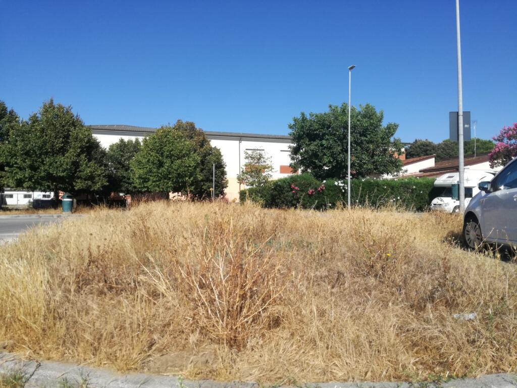 PHOTO 2021 09 15 10 51 50 1 1