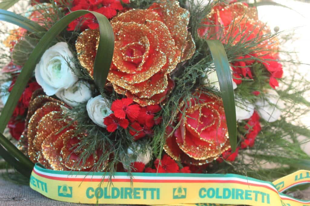 Foto brassica cavolo rosa di Natale Coldiretti