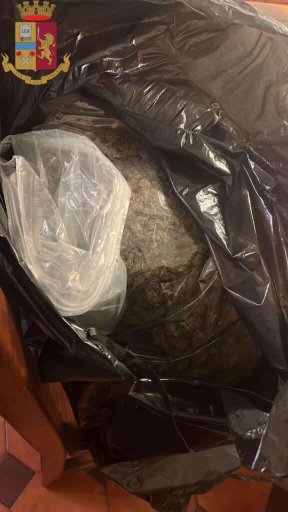 marijuana