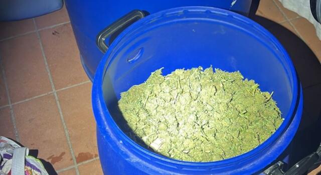 Lucca: 80 chili tra marijuana e oppio in casa, arrestato 41enne