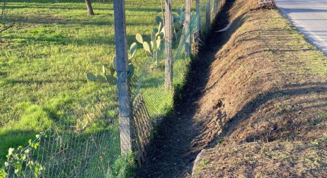 Pietrasanta, arrivano altri fondi da Roma per la manutenzione stradale