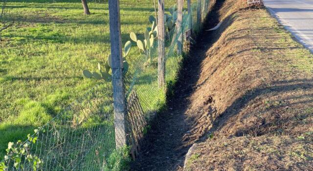 Pietrasanta, arrivano altri fondi da Roma per la manutenzione stradale