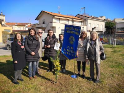 8 marzo, Soroptimist pianta 8 mimose in Versilia