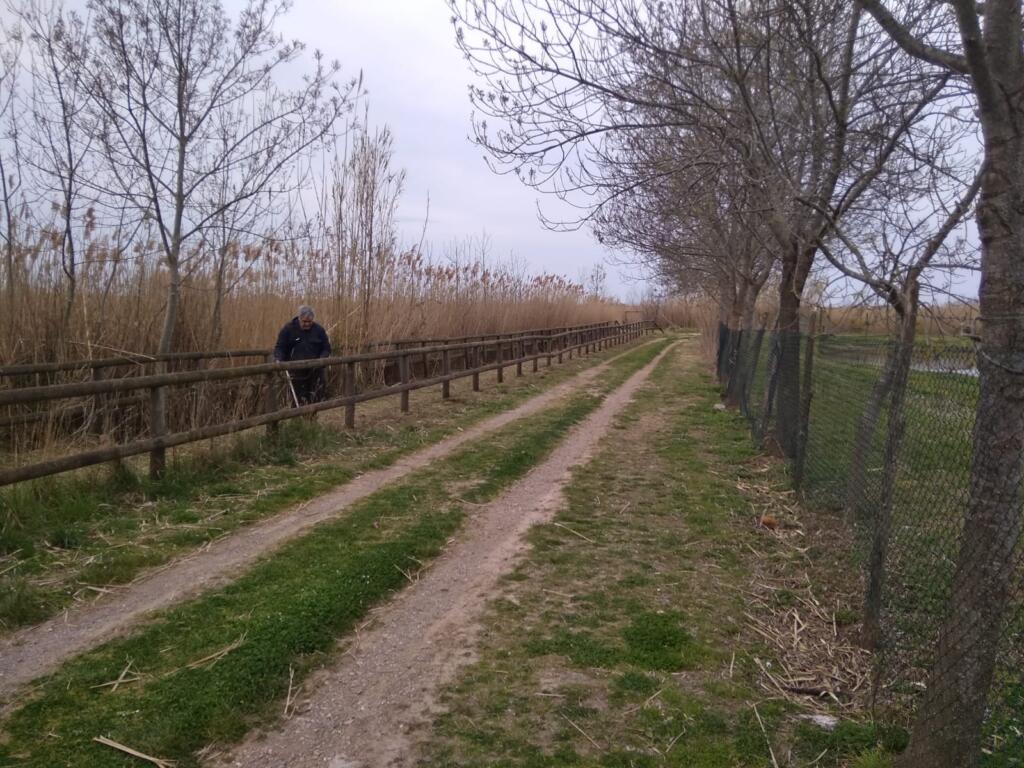 cliclopista puccini