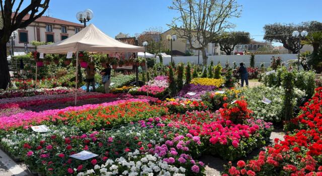 Marina in fiore slitta a maggio