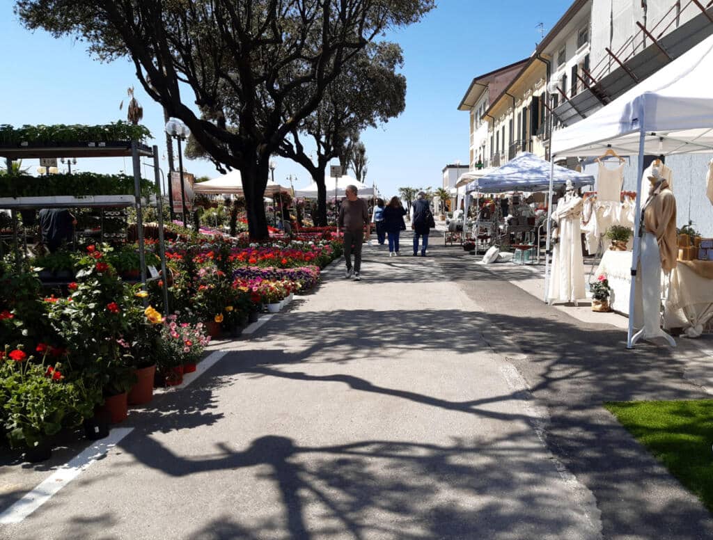 marina in fiore 3