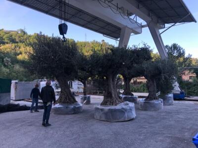 Enolia e FuoriEnolia: il grande evento enogastronomico abbraccia anche il centro storico di Seravezza