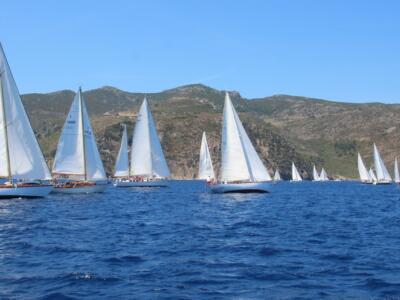 Al via il Sail Rally delle Vele Storiche Viareggio, una flotta di scafi d’epoca nell’Arcipelago Toscano