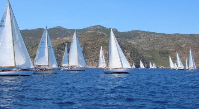 Al via il Sail Rally delle Vele Storiche Viareggio, una flotta di scafi d’epoca nell’Arcipelago Toscano
