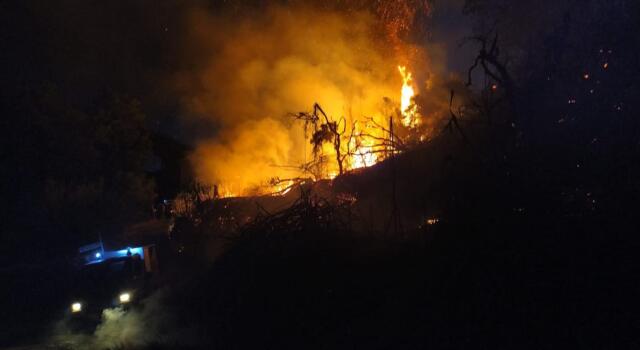 In fiamme colline a Massarosa, case evacuate e canadair in azione