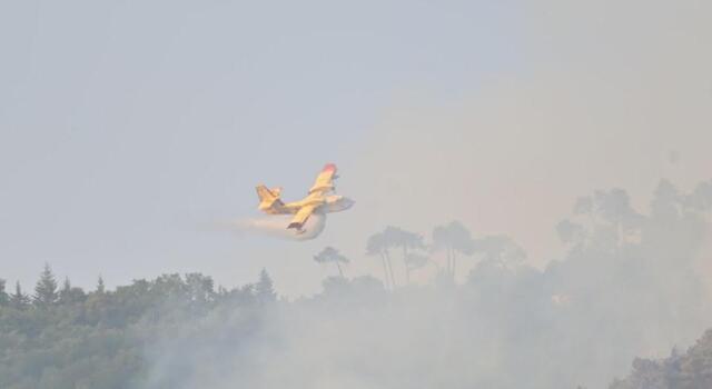 In arrivo un Canadair in più a Massarosa, 560 sono gli ettari bruciati