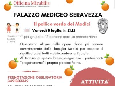 “Il pollice verde dei Medici”, laboratorio venerdì 8 luglio a Palazzo Mediceo