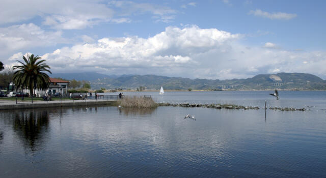 Lago di Massaciuccoli, livello delle acque a meno 50 cm