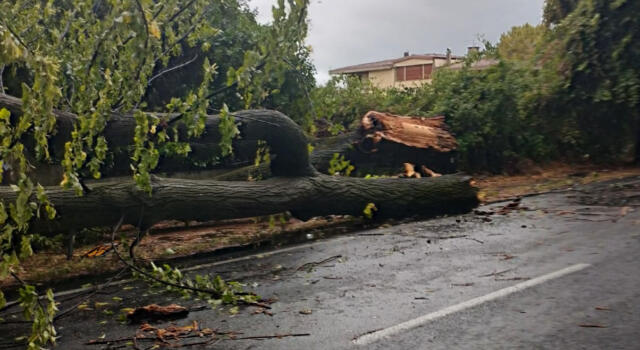 Pietrasanta, maltempo: la prima conta dei danni