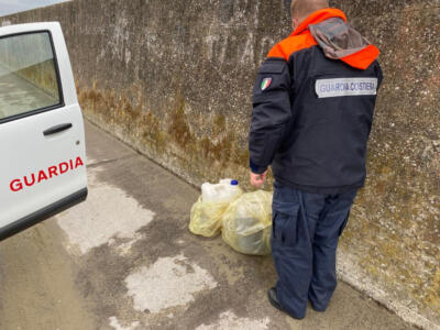 Abbandona olio motore e olio vegetale esausti nel porto di Viareggio, identificato il responsabile