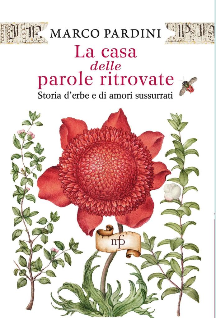 Marco Pardini la casa delle parole ritrovate