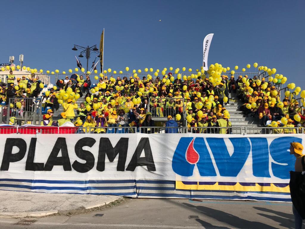 avis carnevale viareggio 1