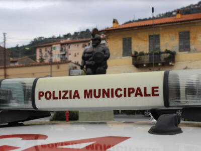 <strong>Viale Apua, undici nuovi tigli nella parte a mare</strong>