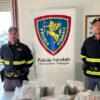 Trovato con 26 chili di droga nel bagagliaio, arrestato sulla A12