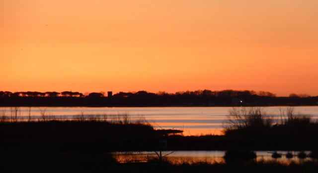 “Il tramonto sul lago”, all’Oasi Lipu l’evento che permette di ammirare la natura al calar del sole