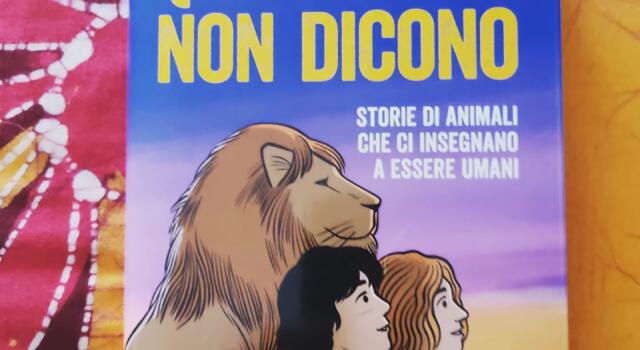 <strong>“Quello che non dicono” [Recensione libro]</strong>