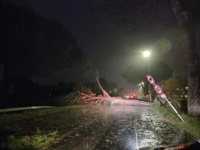Maltempo: tetti scoperchiati dal vento e danni alle auto a Viareggio