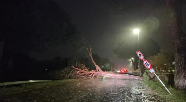 Maltempo: tetti scoperchiati dal vento e danni alle auto a Viareggio