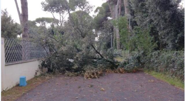 Forte dei Marmi, maltempo: danni limitati grazie ai rapidi interventi del Sistema Comunale di Protezione Civile