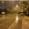 Maltempo, Giuseppe Bartelloni: “Abbattere alberi pericolanti per evitare tragedie sulla strada”