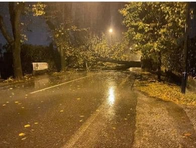 Maltempo, Giuseppe Bartelloni: “Abbattere alberi pericolanti per evitare tragedie sulla strada”