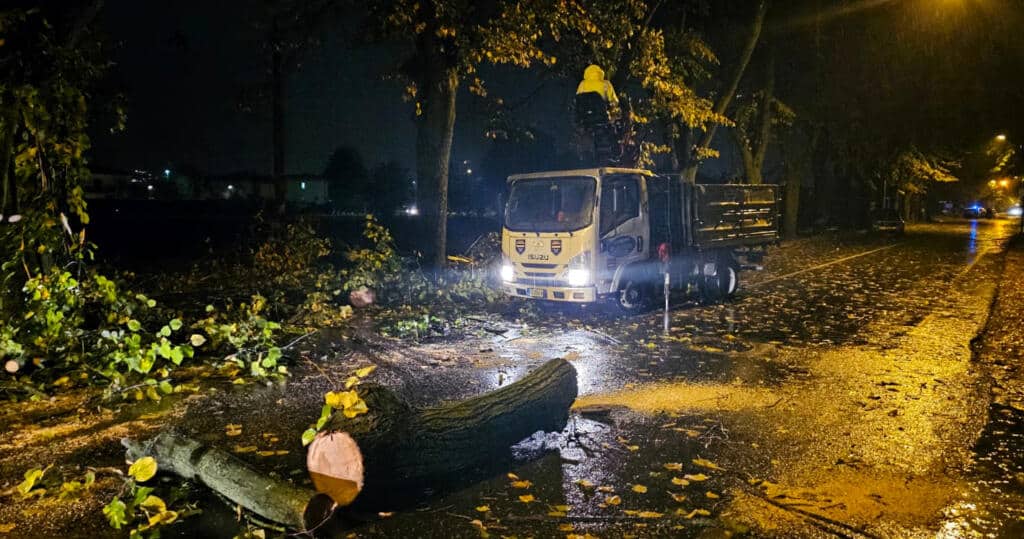 interventi Viale sera