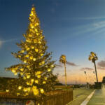 Si accende il Natale a Forte dei Marmi