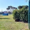 Sport di tutti, il progetto sbarca a Pietrasanta