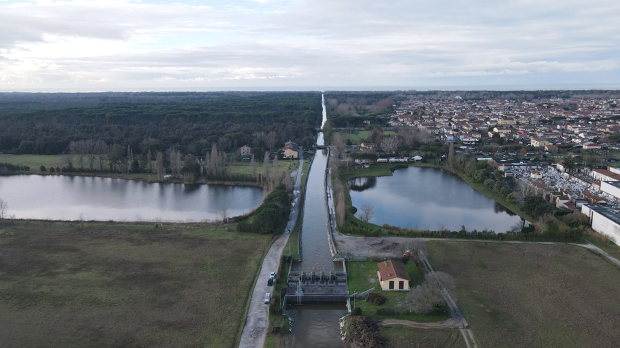 Bufalina