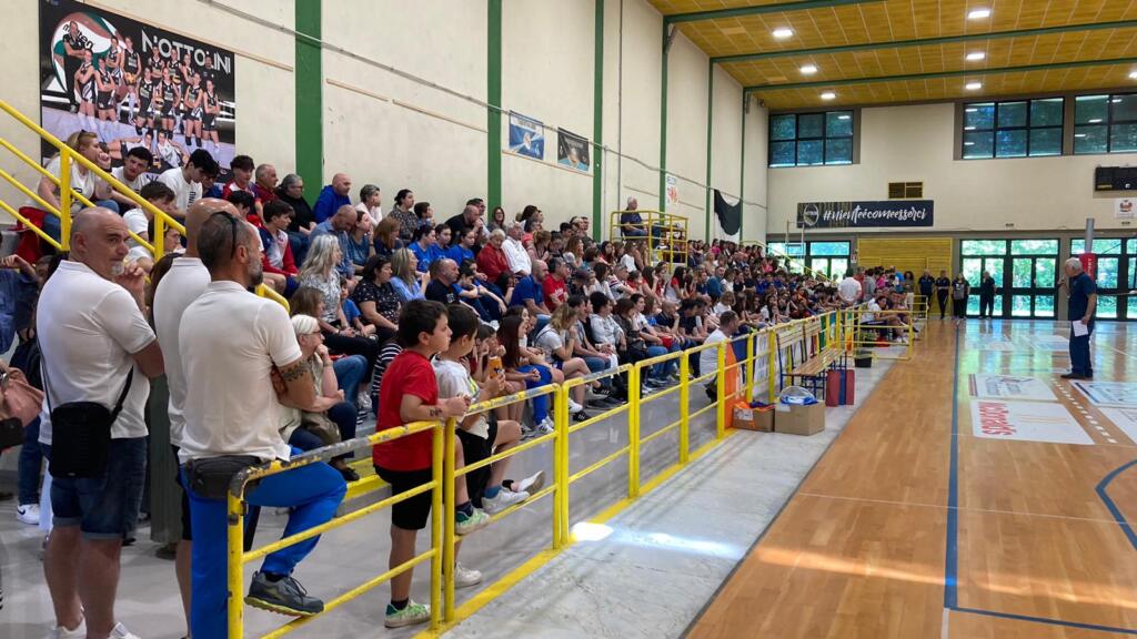 pubblico csi 2