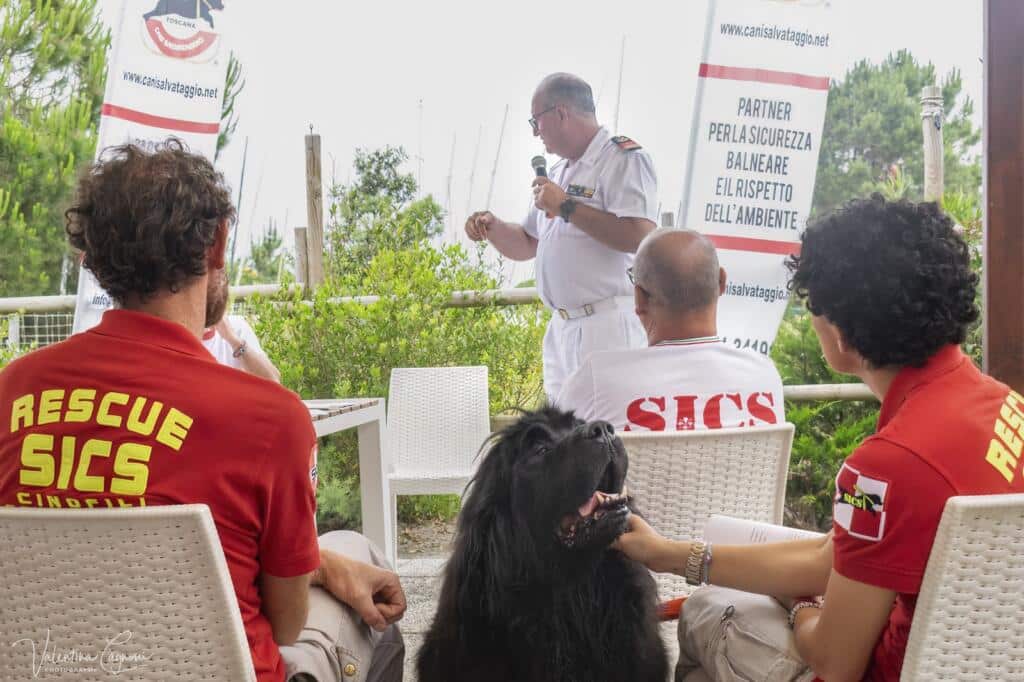Immagine WhatsApp 2024 06 13 ore 12.27.09 54af616e