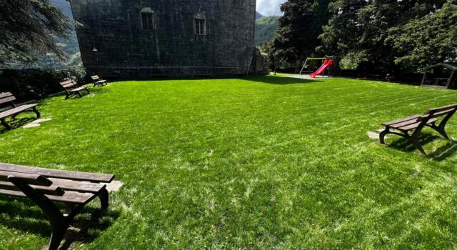 Nuovo manto erboso al Saldone della pieve Santa Maria Assunta